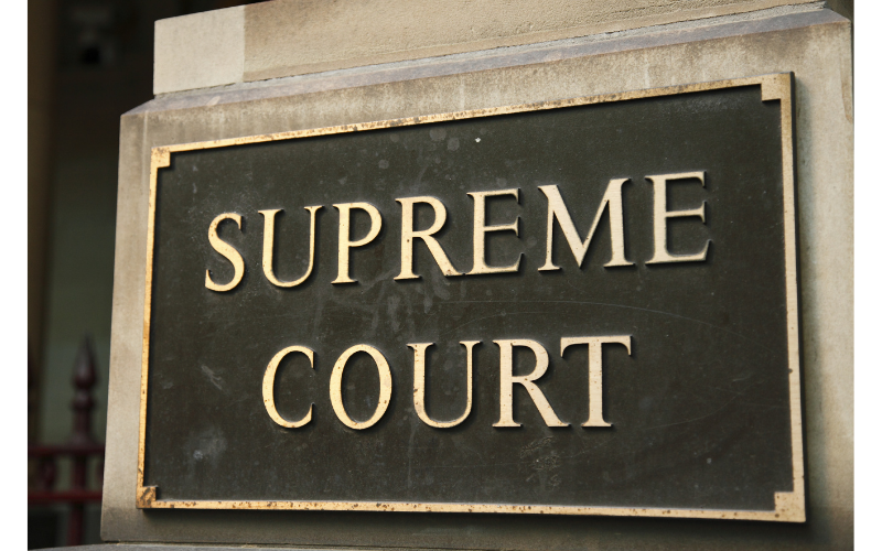 Not a fact finding exercise: Supreme Court dismisses Board appeal on immediate action