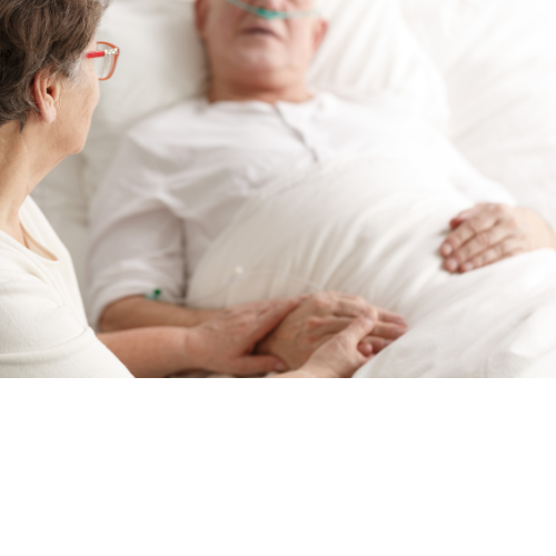 Voluntary assisted dying – The state of play in 2024